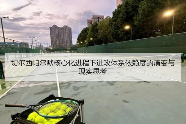 切尔西帕尔默核心化进程下进攻体系依赖度的演变与现实思考