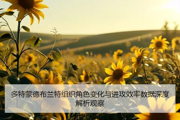 多特蒙德布兰特组织角色变化与进攻效率数据深度解析观察